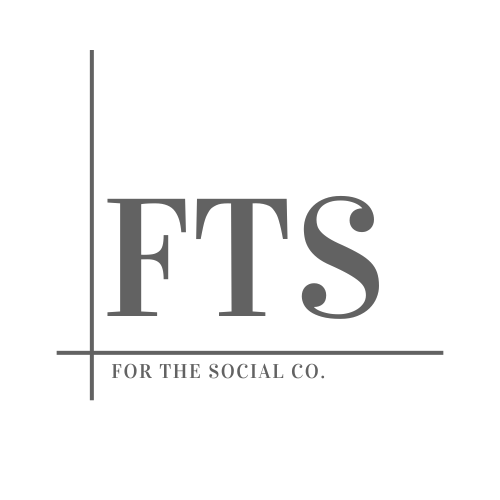 the FTS logo